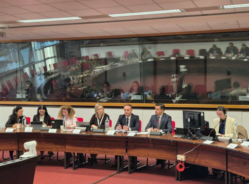 Делегација на МВР во Брисел, на работилница за усогласување на законодавството во областа на оружјето и експлозивите