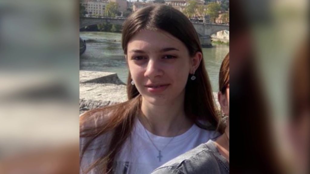 ОДЛОЖЕНА ЈАВНАТА СЕДНИЦА ЗА ПРЕСУДАТА НА ПАЛЧО И ОСТАНАТИТЕ ОСУДЕНИ ЗА УБИСТВАТА НА ВАЊА И ПАНЧЕ