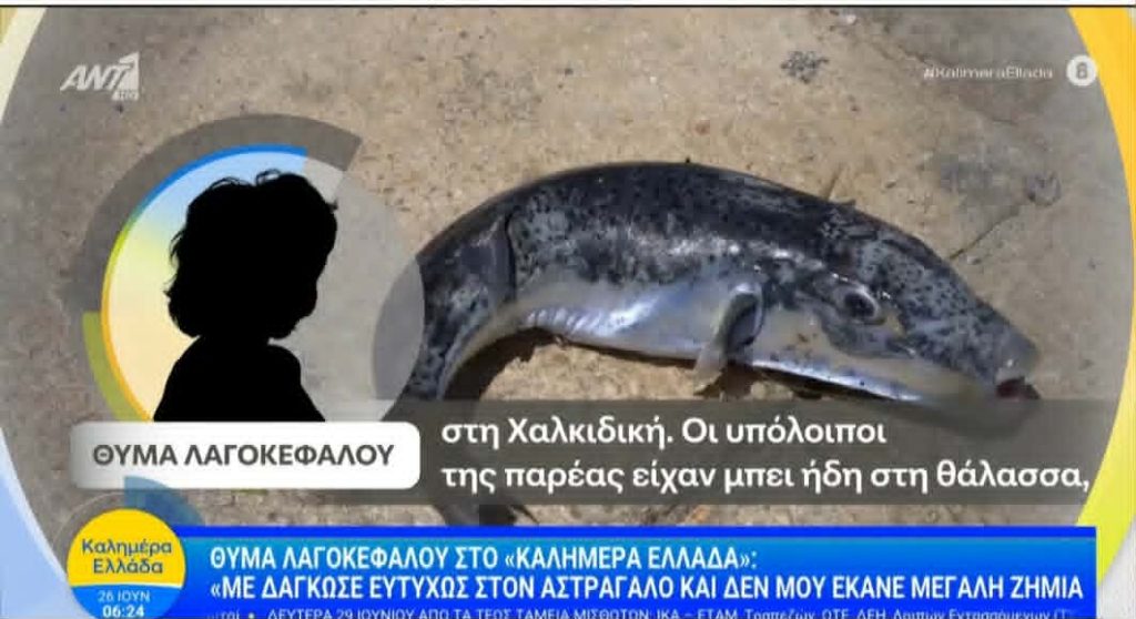 ТУРИСТКА КАСНАТА ОД ИНВАНЗИВНАТА РИБА – ЗАЈАК ВО ПЕФКОХОРИ