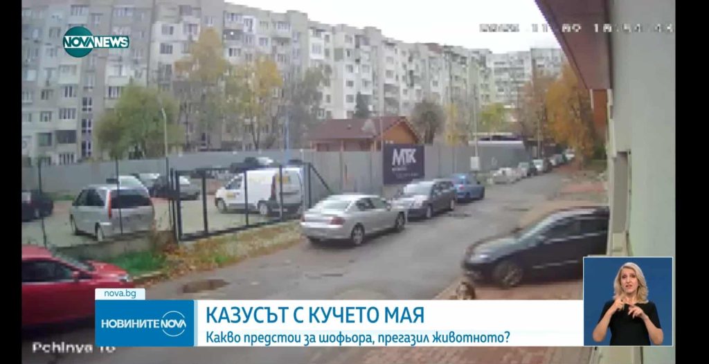 СЛУЧАЈОТ СО МАКЕДОНСКИОТ ЛЕКАР ОБВИНЕТ ЗА ПРЕГАЗУВАЊЕ КУЧЕ ВО СОФИЈА СÈ УШТЕ БЕЗ ЕПИЛОГ, А ТОЈ СЕ ВРАТИЛ НА РАБОТА?!